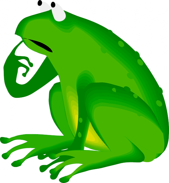 frog-48234_640